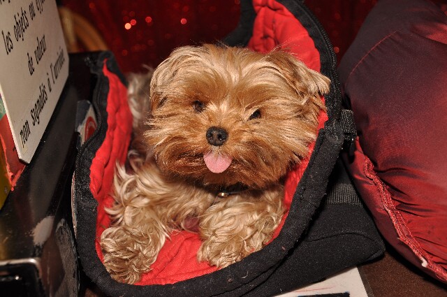 min 2009 09 24 zed 192